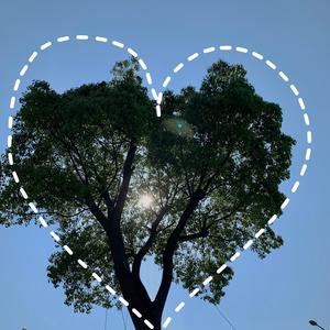 伊人网在线视频
